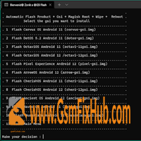 GSI Flash Tool www.gsmfixhub.com